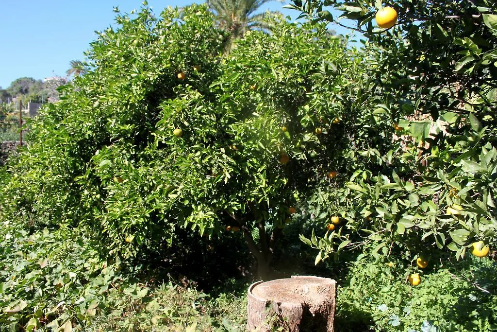Casa Rural El Liron Ingenio Holiday home